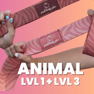 Beach Body Dolge Elastike: Paket L1+L2